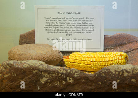 Mano und Metate im Besucherzentrum am Roosevelt Lake, Tonto National Forest, Arizona Stockfoto