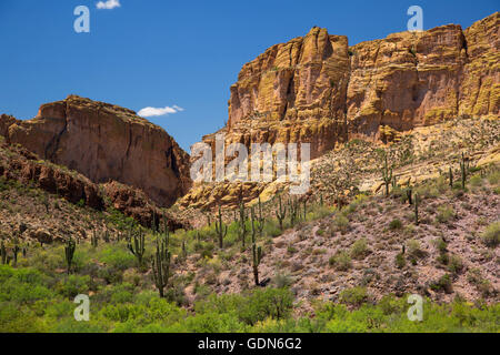 Superstition Mountain View, Apache Trail Scenic Byway, Tonto National Forest, Arizona Stockfoto