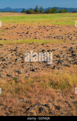 Grünland-Plateau, obere Tabelle Rock zu bewahren, Medford District Bureau of Land Management, Oregon Stockfoto