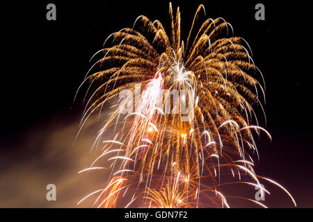 4. Juli Feuerwerk. Fotografiert in Studio City, Los Angeles, Kalifornien Stockfoto
