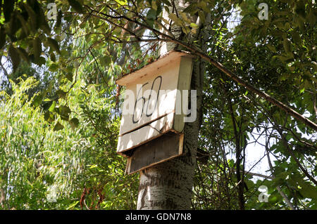 Fledermäuse Verschachtelung Box. Fledermäuse nutzen eine Vielzahl von Insekten und dienen als eine natürliche und ökologische Schädlingsbekämpfung. Durch die Bereitstellung der Stockfoto