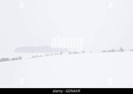 Felder bedeckt in einer Schicht aus Schnee in dieser trostlosen Winter-Landschaft mit schwacher Klumpen von Bäumen und Hedge-Linien Shwoing durch die gefrorene Landschaft. Stockfoto