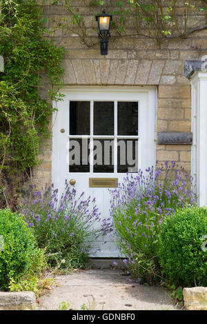 Lavendel Pflanzen vor einer Hütte Tür. Bledington, Gloucestershire, England Stockfoto