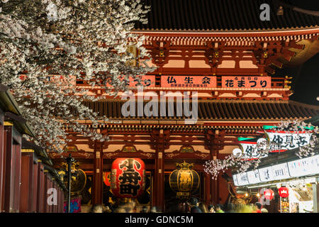 Cherry blossom Festival, Sensoji Tempel, Taito-Ku, Tokyo, Japan Stockfoto