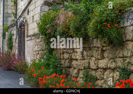 Höhlenwohnungen Höhlen und Häuser in Turquant, Frankreich Stockfoto