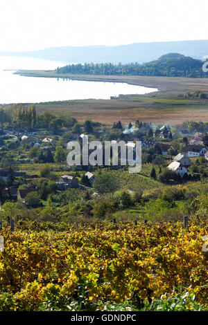 Erhöhten Blick auf Weinberge und See Balaton, Budapest, Ungarn Stockfoto