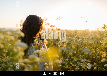 Frau im Bereich der Wildblumen Stockfoto