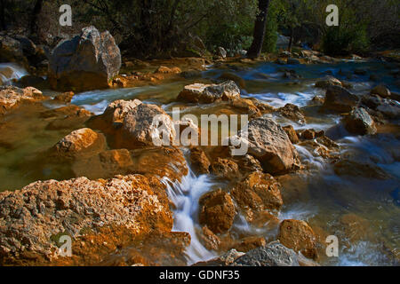 Sierra de Cazorla, Segura und Las Villas Naturpark, Guadalquivir Fluss Guadalquivir Flusslauf, Provinz Jaen, Andalusien, S Stockfoto