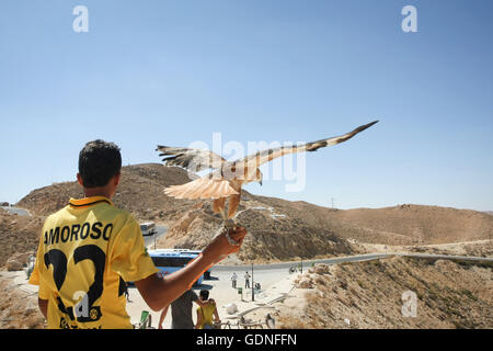 Eine Rückansicht ein tunesischer Mann hält ein Falke zum Fotografieren mit Touristen an einem touristischen Stop in Matmata mit Blick auf felsigen Stockfoto