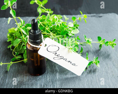 Oregano Öl Flasche mit Etikett und Oregano Kraut-Bündel Stockfoto