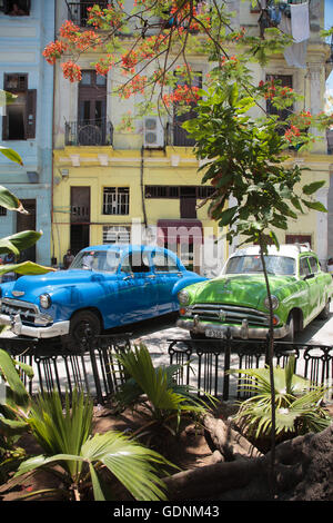 Klassische Autos geparkt an einem kleinen grünen Platz in Habana Vieja, Havanna, Kuba Stockfoto