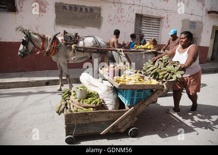 Straßenhändler verkaufen Obst vom Karren in Santiago De Cuba, Kuba Stockfoto