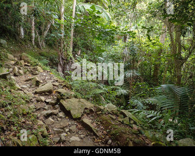 Der Weg zu den Comandancia De La Plata in den Bergen der Sierra Maestra, Kuba Stockfoto