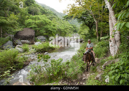 Ein Mann reitet auf einem Maultier entlang eines Flussufers in den Bergen der Sierra Maestra, Kuba Stockfoto