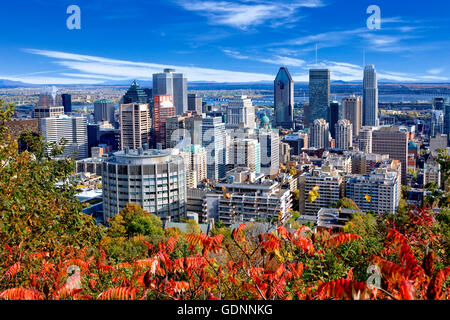 Montreal-Skyline-Blick vom Mont Royal Stockfoto