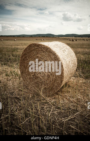 Stroh Rollen auf einem Feld bei teilweise bewölktem Himmel Stockfoto