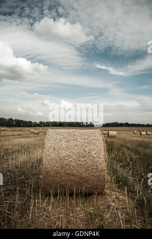 Stroh Rollen auf einem Feld bei teilweise bewölktem Himmel Stockfoto