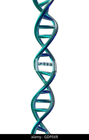 3D Darstellung der DNA-Helix isoliert auf weißem Hintergrund. Stockfoto