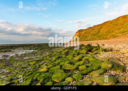 Kent Nordküste zwischen Herne Bay und Reculver. Stockfoto