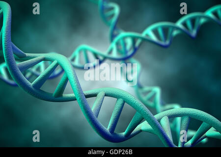 3D-Rendering des DNA-Moleküls des Menschen. Stockfoto