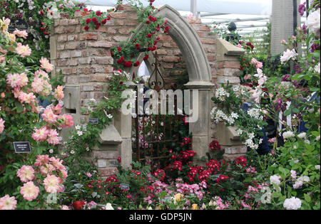 23. Mai 2016 - Blume allgemeine Ansichten bei Chelsea Show 2016 in London, Vereinigtes Königreich. Stockfoto