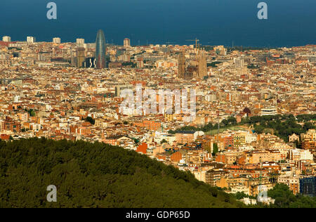 Barcelona, wie gesehen von Collserola Park, Barcelona, Spanien Stockfoto