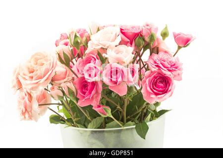 Bouquet von rosa Rosen, Isolated on White. Stockfoto