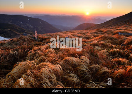 Chornogora Ridge Landschaft, Karpaten, Ivano-Frankovsk Region, Ukraine Stockfoto