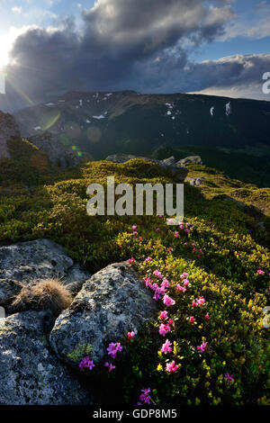 Chornogora Ridge Landschaft, Karpaten, Ivano-Frankovsk Region, Ukraine Stockfoto