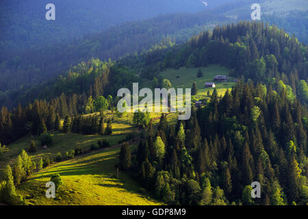 Dzembronya Dorf, Karpaten, Ivano-Frankovsk Region, Ukraine Stockfoto