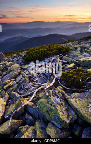 Gorgany Bergrücken, Aussicht vom Siniak Berg, Karpaten, Frankowsk Region, Ukraine Stockfoto