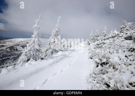 Swidowez Bergrücken, Karpaten, Ivano-Frankovsk Region, Ukraine Stockfoto