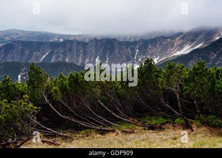 Chornogora Ridge Landschaft, Karpaten, Ivano-Frankovsk Region, Ukraine Stockfoto