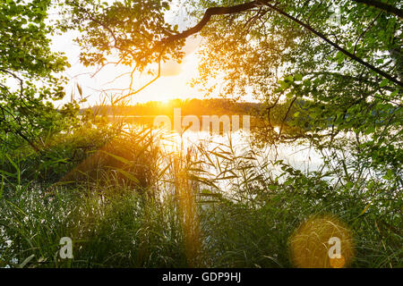 Sonnenuntergang über See, Osterseen, Bayern, Deutschland Stockfoto