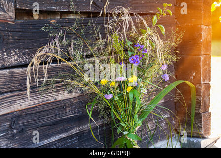 Reihe von frisch gepflückter Wildblumen vor Gartenhaus Stockfoto