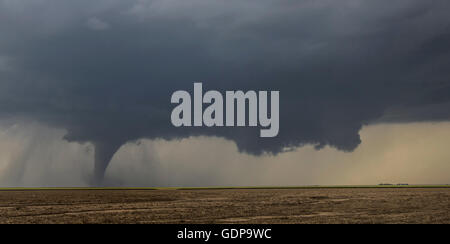 Großer Kegel Tornado aufsetzt über der offenen Prärie Stockfoto