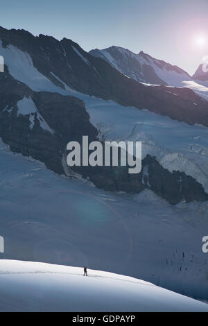 Einsamer Kletterer auf einem Gletscher absteigend von der Jungfrau, Alpen, Kanton Bern, Schweiz Stockfoto