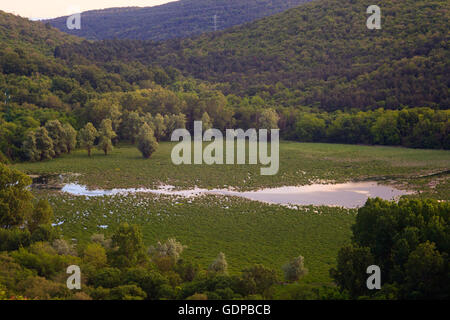 Blick auf See Doberdò See Doberdò Doline in der Provinz Gorizia, Friaul-Julisch Venetien, Italien Stockfoto