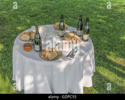 Picknick mit Wein in der Nähe von Saumur, Frankreich Stockfoto
