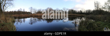 Angeln See-Panorama in Mecklenburg-Vorpommern, Deutschland, an einem idyllischen Herbsttag. Stockfoto