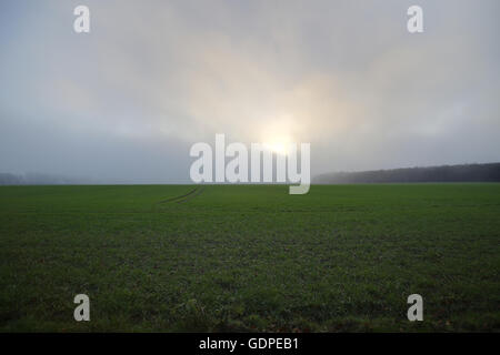 Dunkle Wolken und Nebel nähert sich am Himmel in der Nähe von Greifswald, Mecklenburg-Vorpommern, Deutschland. Stockfoto