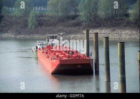 Pusher-Boot mit Barge für den Güterverkehr in der Navigation auf dem Fluss Po (Italien) Stockfoto