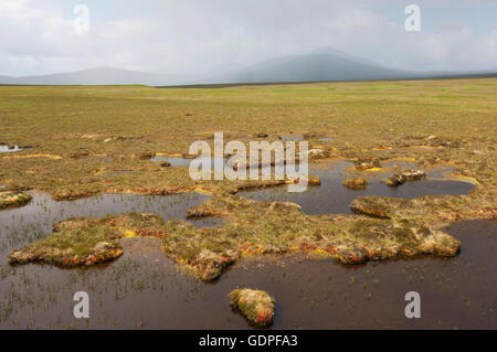 Landschaft mit Moor-Pools bei Forsinard RSPB Nature Reserve - Sutherland, Schottland zu fließen. Stockfoto