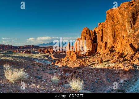 Weißen Kuppeln Road, Felsformationen aus Sandstein im Valley of Fire State Park, Mojave-Wüste, Nevada, USA Stockfoto