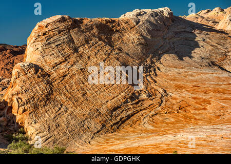 Schichten Muster am Crossbedded Sandsteinfelsen in weißen Kuppeln Road Bereich, Valley of Fire State Park, Mojave-Wüste, Nevada, USA Stockfoto