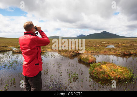 Vogelbeobachter Naturlehrpfad Dubh man - Forsinard RSPB Naturschutzgebiet, Sutherland, Schottland. Stockfoto