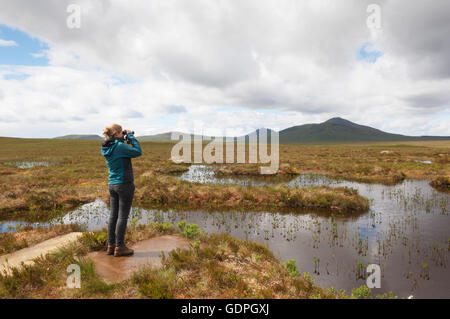 Vogelbeobachter Naturlehrpfad Dubh man - Forsinard RSPB Naturschutzgebiet, Sutherland, Schottland. Stockfoto