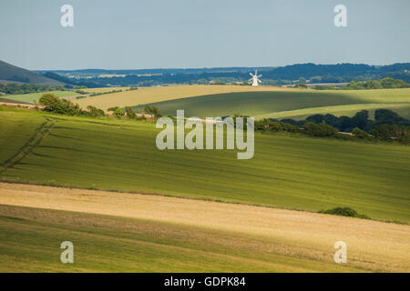 Sommer auf der South Downs, East Sussex, England. Ashcombe Windmühle in der Ferne. Stockfoto