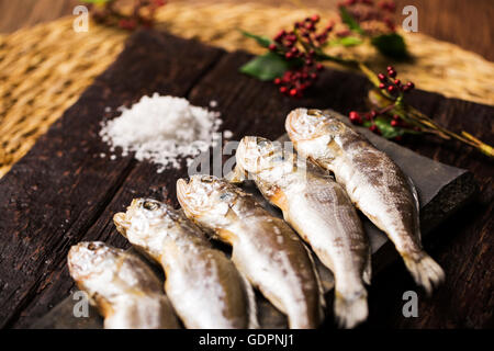 Getrocknete Corvina auf rustikalen Brett mit Salz und Äste auf der Seite Stockfoto