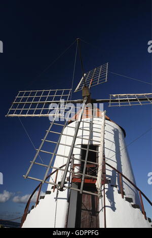 EUROPA, SPANIEN, ATLANTISCHER OZEAN, KANAISCHE INSELN, KANAREN, LANZAROTE, INSEL, GUATIZA, KAKTUS-GARTEN, WINDMUEHLE, MUEHLES, Ei Stockfoto